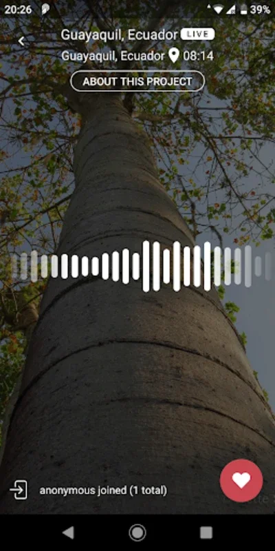 Rainforest Connection® Player for Android: Immerse in Global Rainforest Sounds