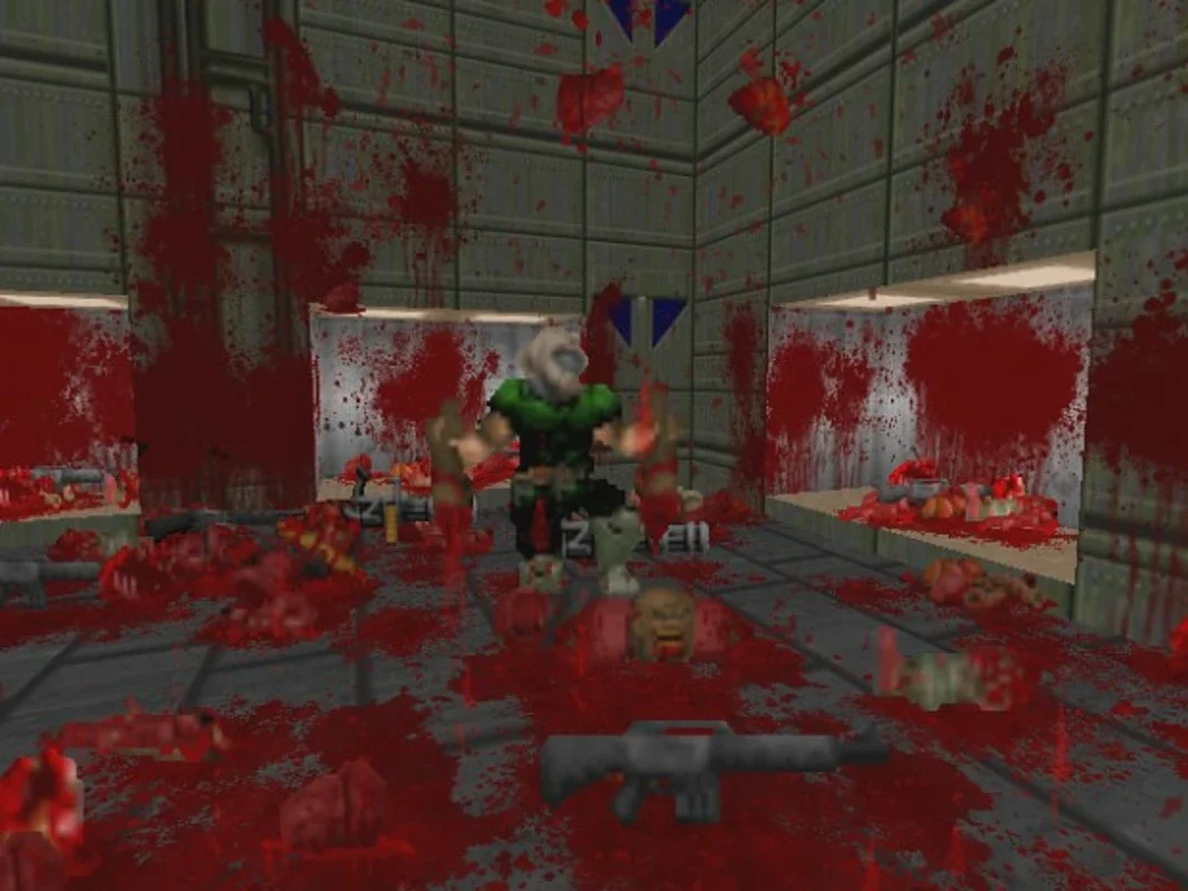 Brutal Doom for Windows - Unleash the Bloodbath