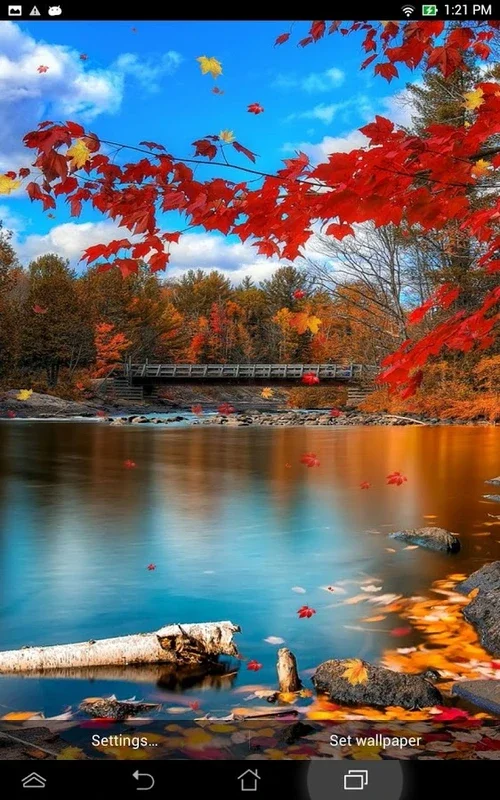 Falling Leaves Live Wallpaper for Android - Immerse in Autumn