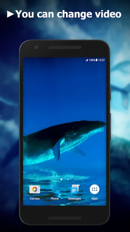 Blue Whale Video Live Wallpape for Android - Transform Your Screen