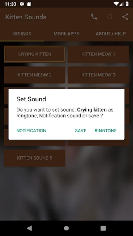 Kitten Sounds for Android: Enhance Cat Interaction