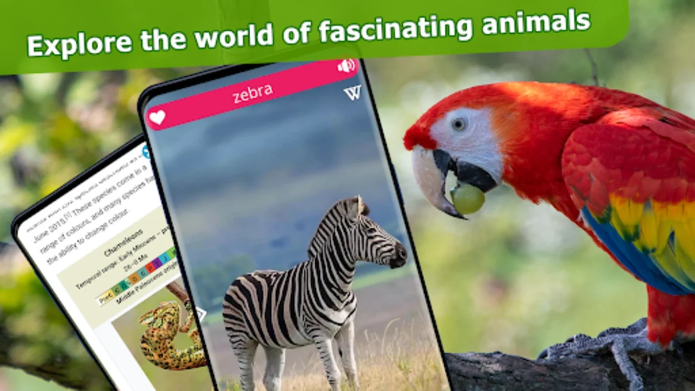 Animal Sounds for Android: Connect with Wildlife