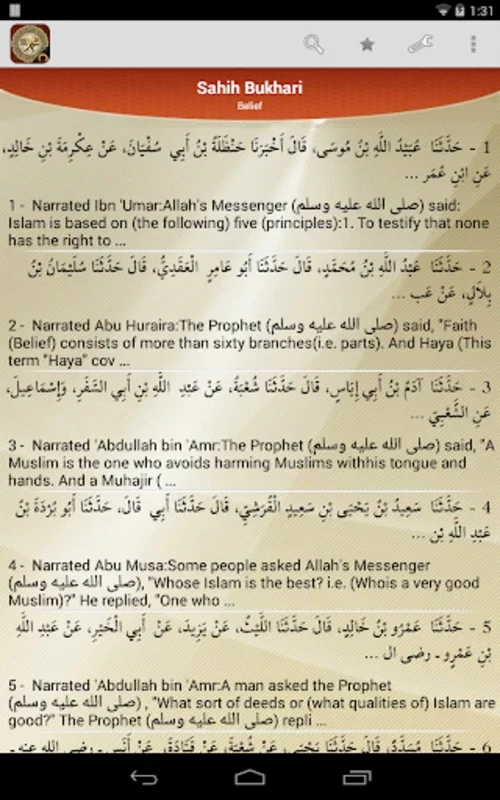 Hadith Collection for Android - Comprehensive Islamic Resource