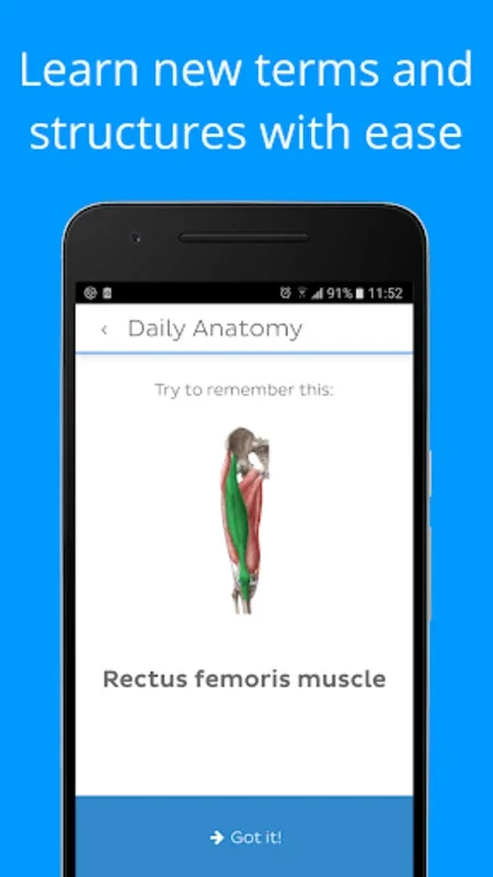 Daily Anatomy Flashcards for Android: Enhance Your Learning