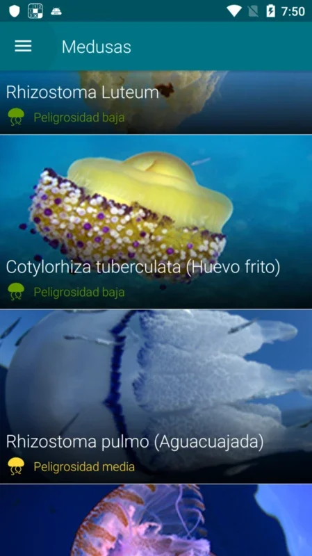 Infomedusa for Android - Stay Informed about Jellyfish