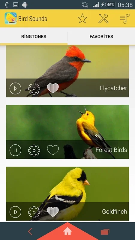 Bird Sounds for Android: Immerse in Nature's Melodies