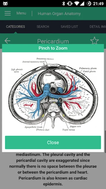 Human Organs Anatomy Reference for Android: Comprehensive Insights