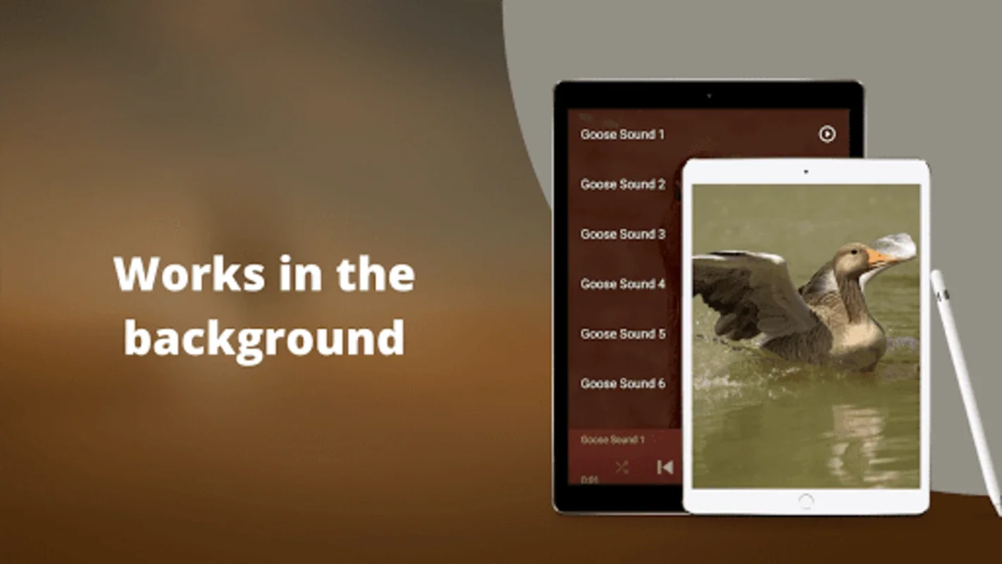 Goose Sounds & Hunting Calls for Android: Explore Geese Calls