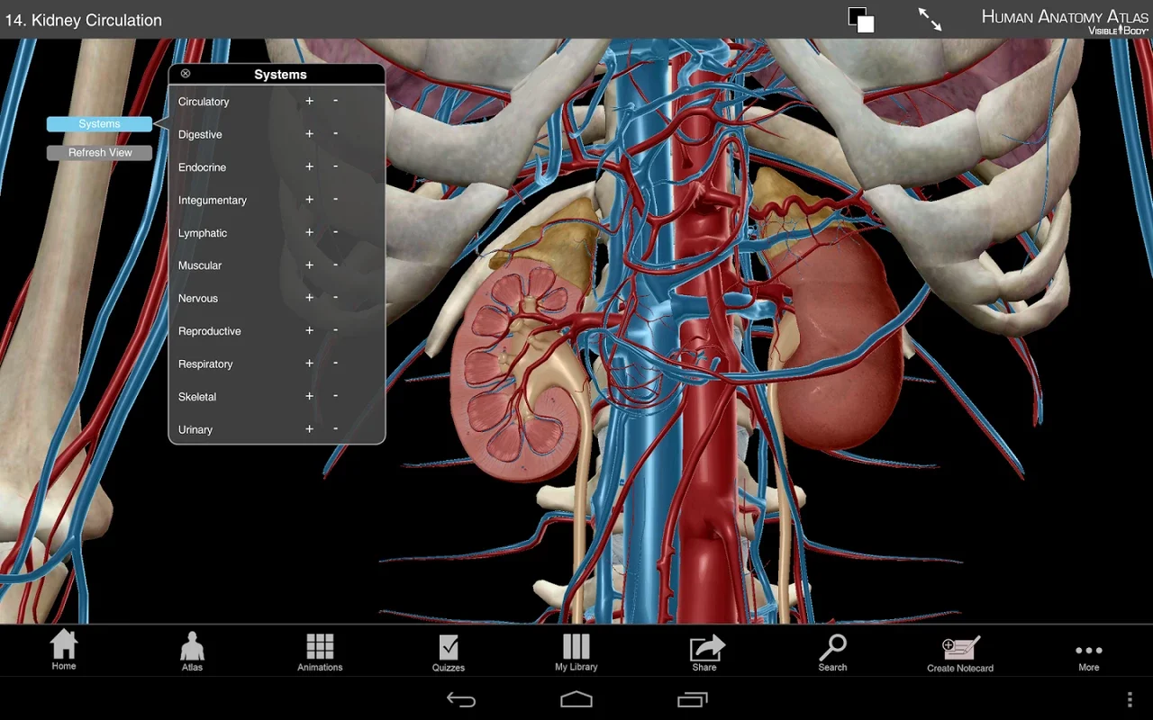 Atlas for Android: Explore Human Anatomy