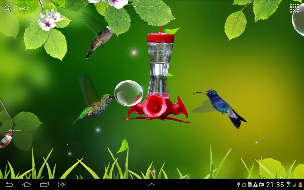 Hummingbirds Live Wallpaper for Android - Serene Visuals