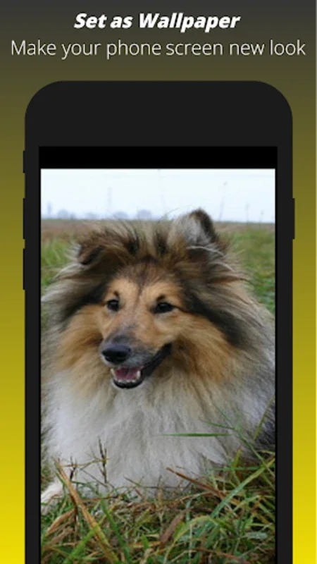 Dog Wallpaper HD for Android - Transform Your Device