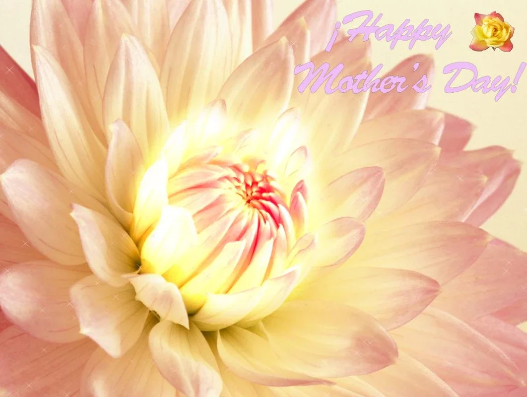 Happy Mothers Day Screensaver for Windows - A Relaxing Treat