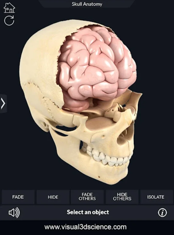 Skull Anatomy Pro. for Android: Immersive 3D Learning