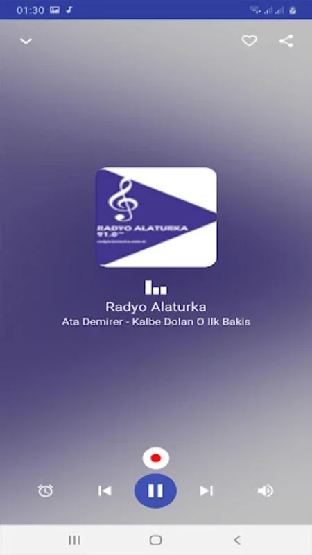 Radio Turkey for Android: Diverse Stations and Custom Features