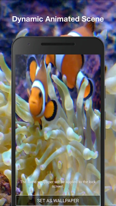 Real Fish Live Wallpaper for Android - Enhance Your Device