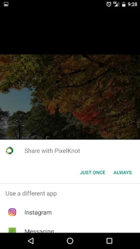 PixelKnot for Android: Secure Hidden Messaging App