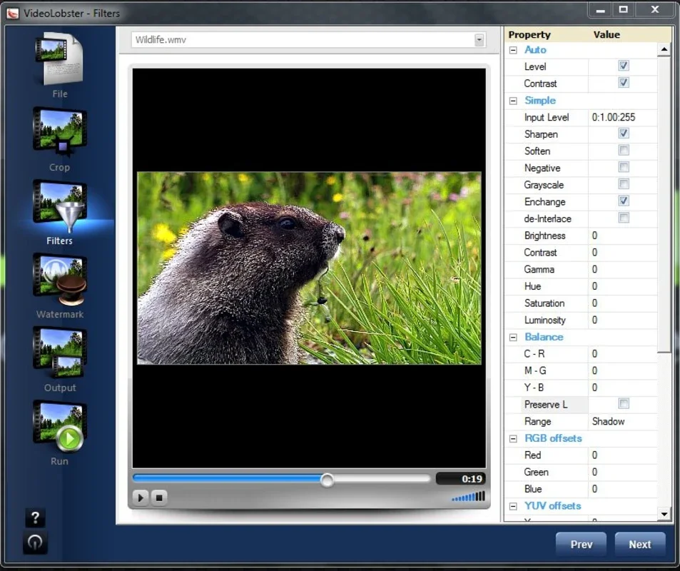 VideoLobster for Windows - Edit, Convert & Add Watermarks