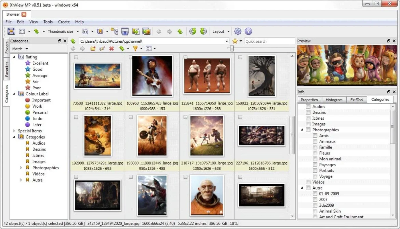 XnView MP for Windows - Powerful Image Viewer