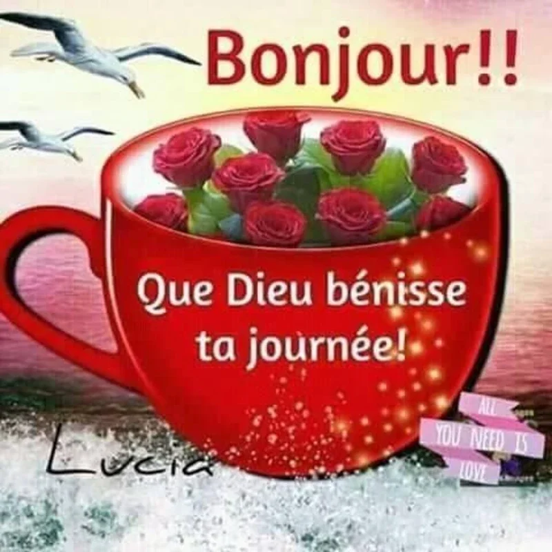 Bonjour Bonsoir Bonne Nuit for Android - Fresh Greetings Daily