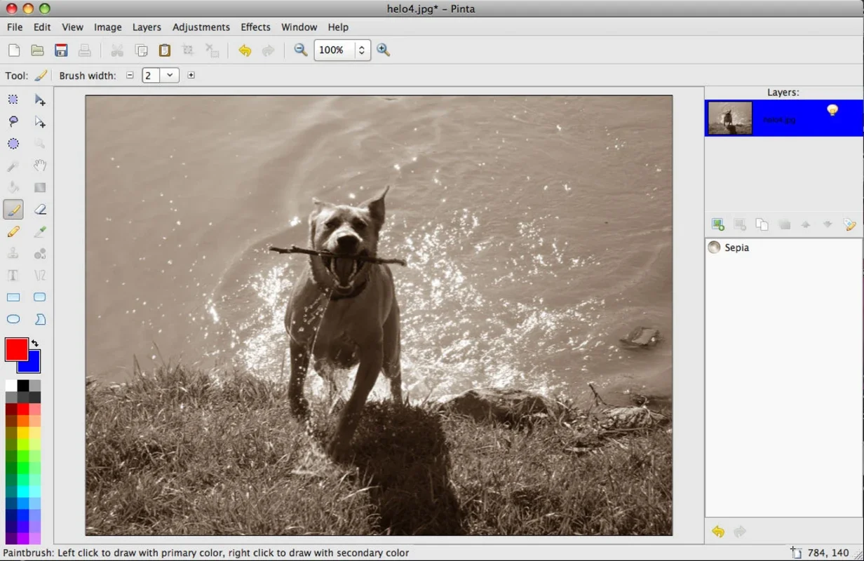 Pinta for Mac - A Free Image Editing Tool