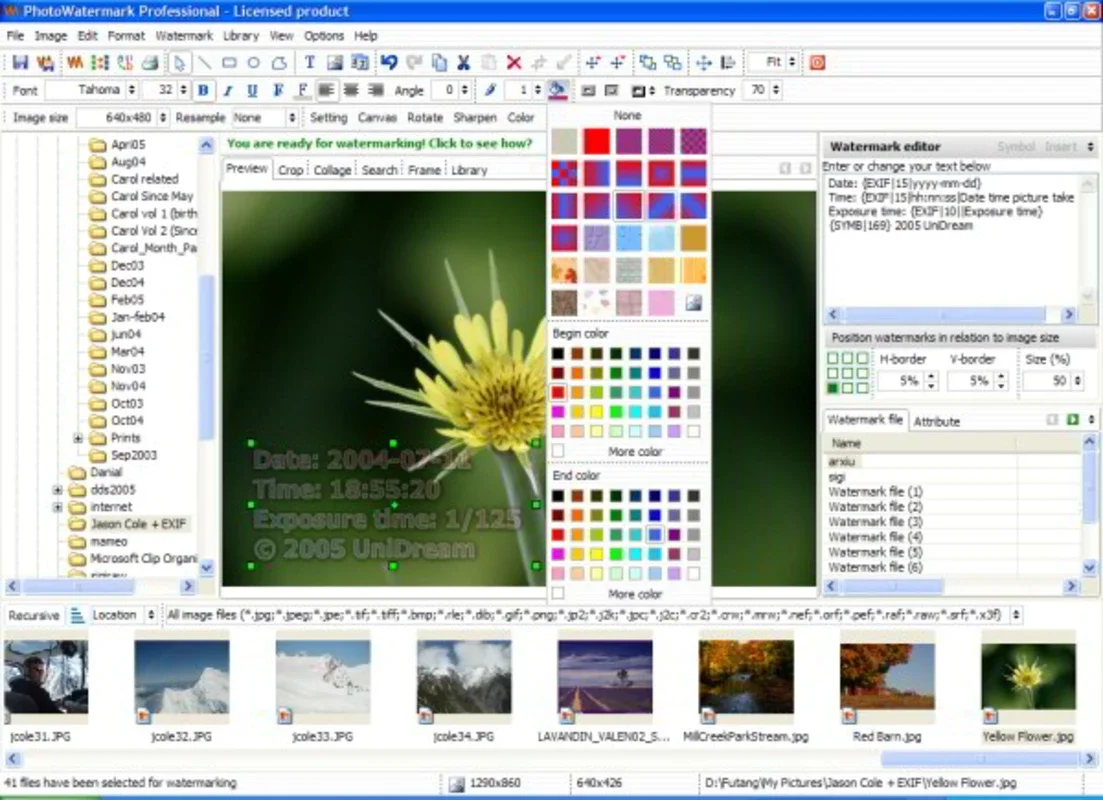 UniDream Photo Watermark PRO for Windows - Protect Your Photos