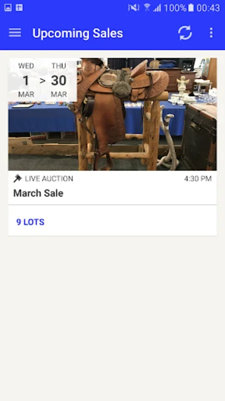 Lightning Auctions for Android - Streamlined Bidding