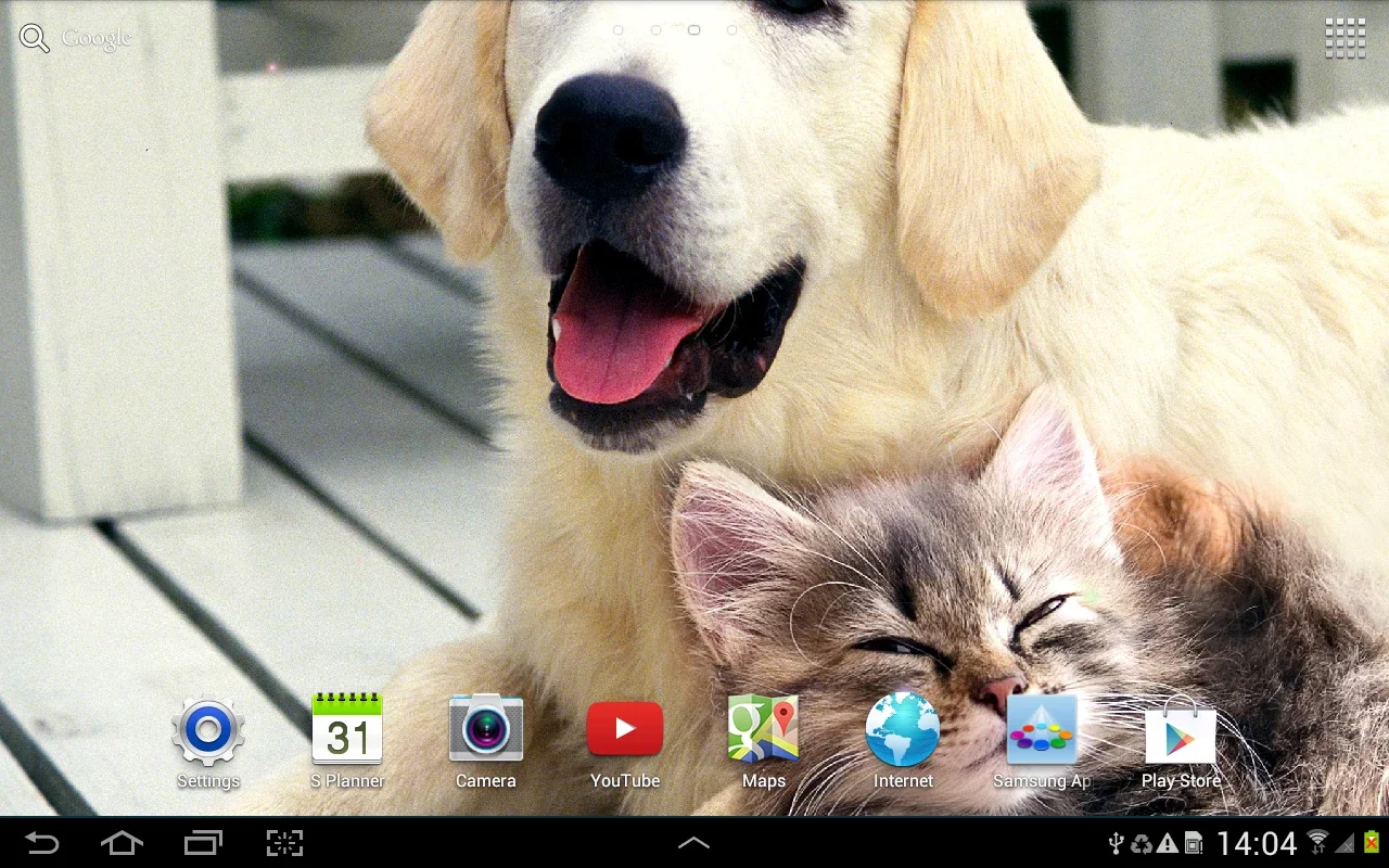 Cat Live Wallpaper for Android - Bringing Tranquility to Your Screen