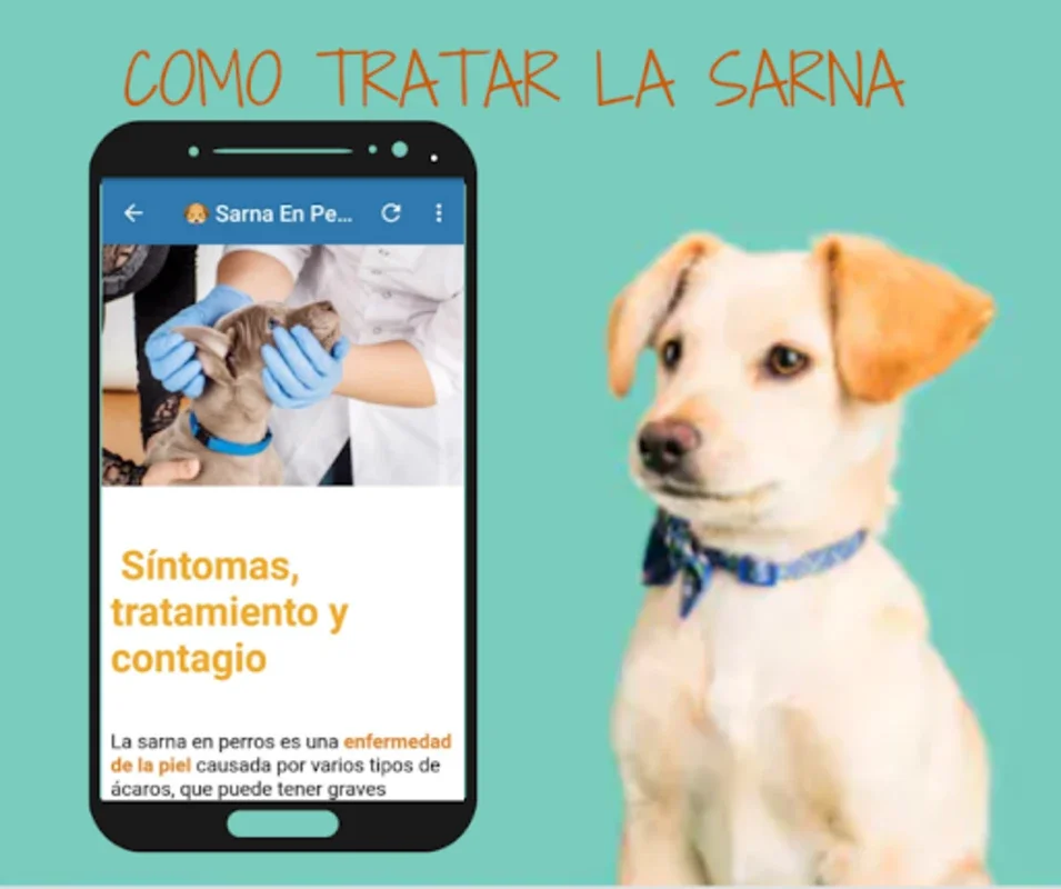 Remedios Caseros Para Perro for Android: Natural Remedies App