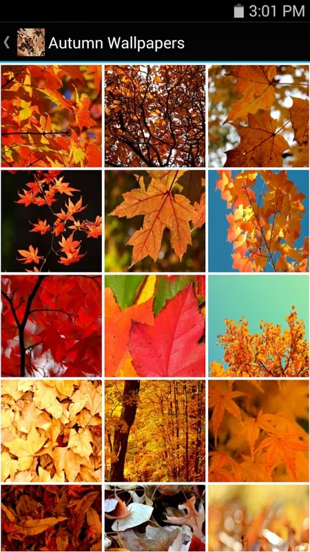 Autumn Wallpapers for Android - Enhance Your Device