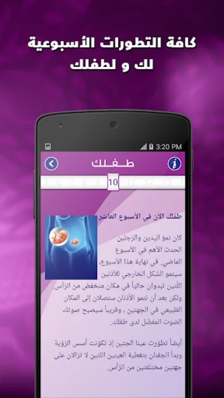 انت و الحمل for Android - Comprehensive Pregnancy Support