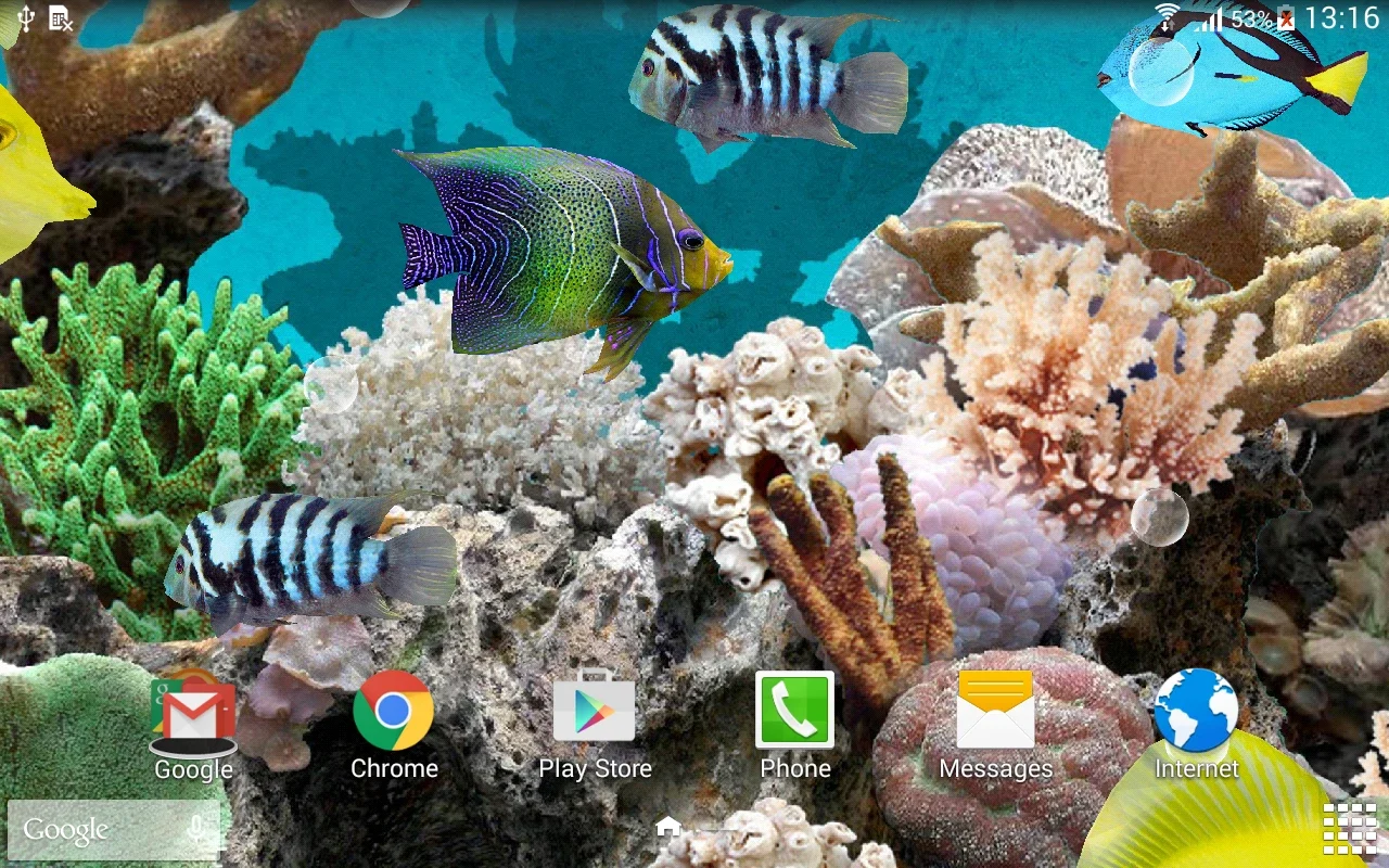 Coral Fish 3D Live Wallpaper for Android - Immersive Underwater Experience