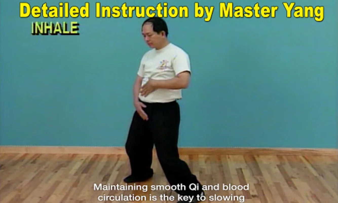 Qigong Massage for Partners for Android: Holistic Well-being