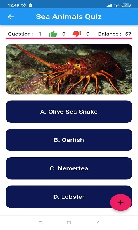 Sea Animals Quiz for Android - Engaging & Educational