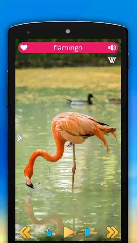 Animal Sounds for Android: Connect with Wildlife