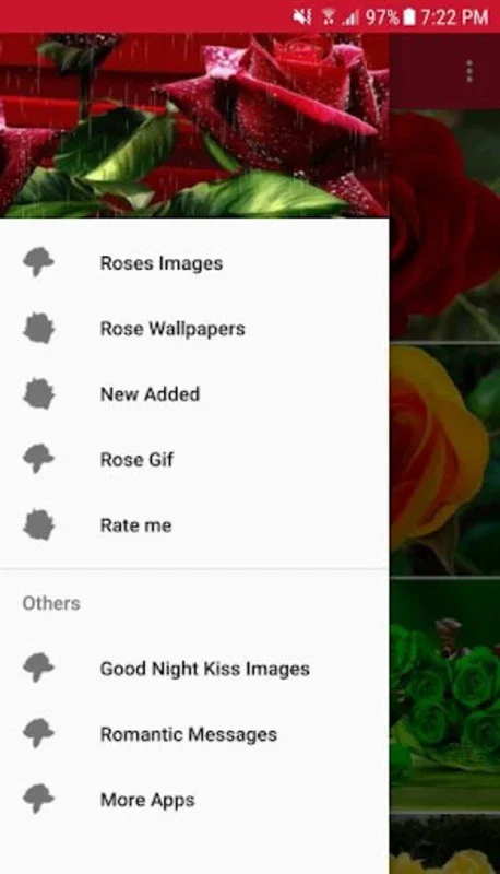 Rose Wallpapers for Android - Enhance Your Device