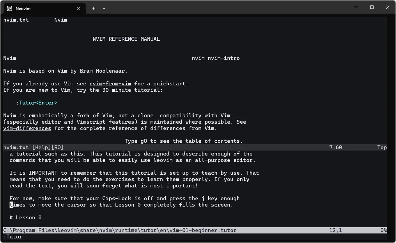 Neovim for Windows: Enhanced Programming Experience