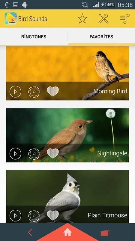 Bird Sounds for Android: Immerse in Nature's Melodies