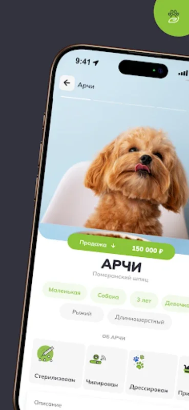 ЗооКлик for Android: The Ultimate Pet App