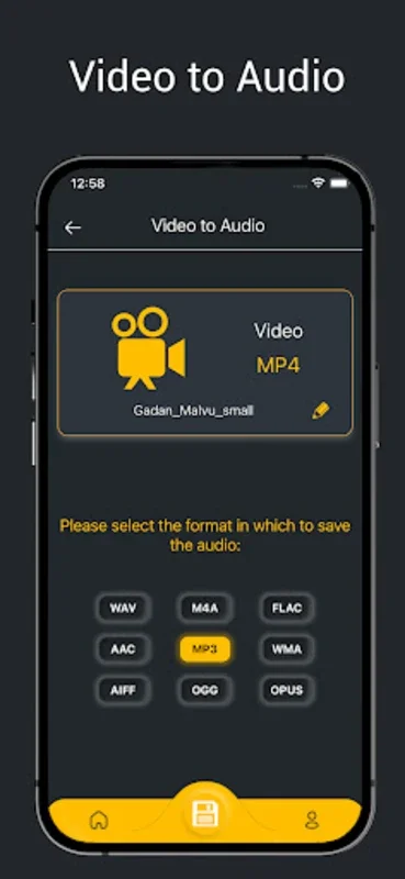 Revoicers for Android - Professional - Grade Audio Separation