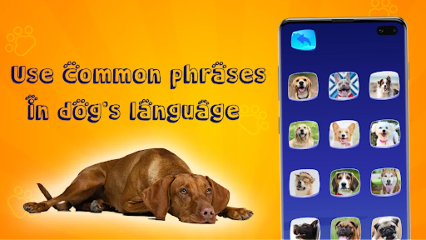 Translator for Dogs (Joke) for Android - Fun Pet App