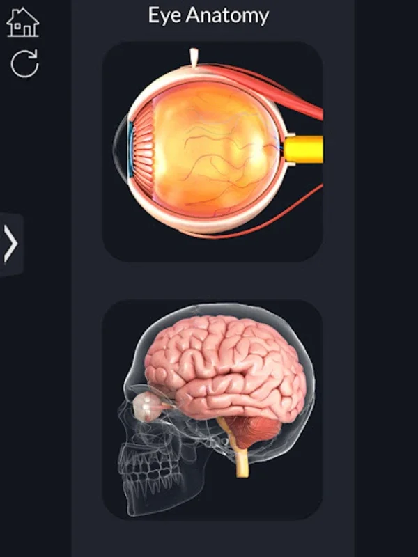 My Eye Anatomy for Android: Immersive 3D Learning