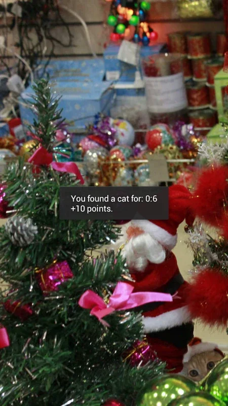 Find a cat on Android - Free APK Download