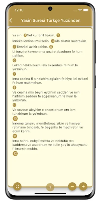 Yasin Suresi for Android - Access Surah Yasin Anytime