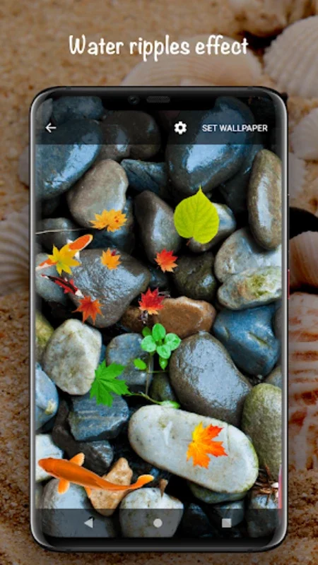 Fish On Screen 3D Wallpaper for Android - Transform Your Device