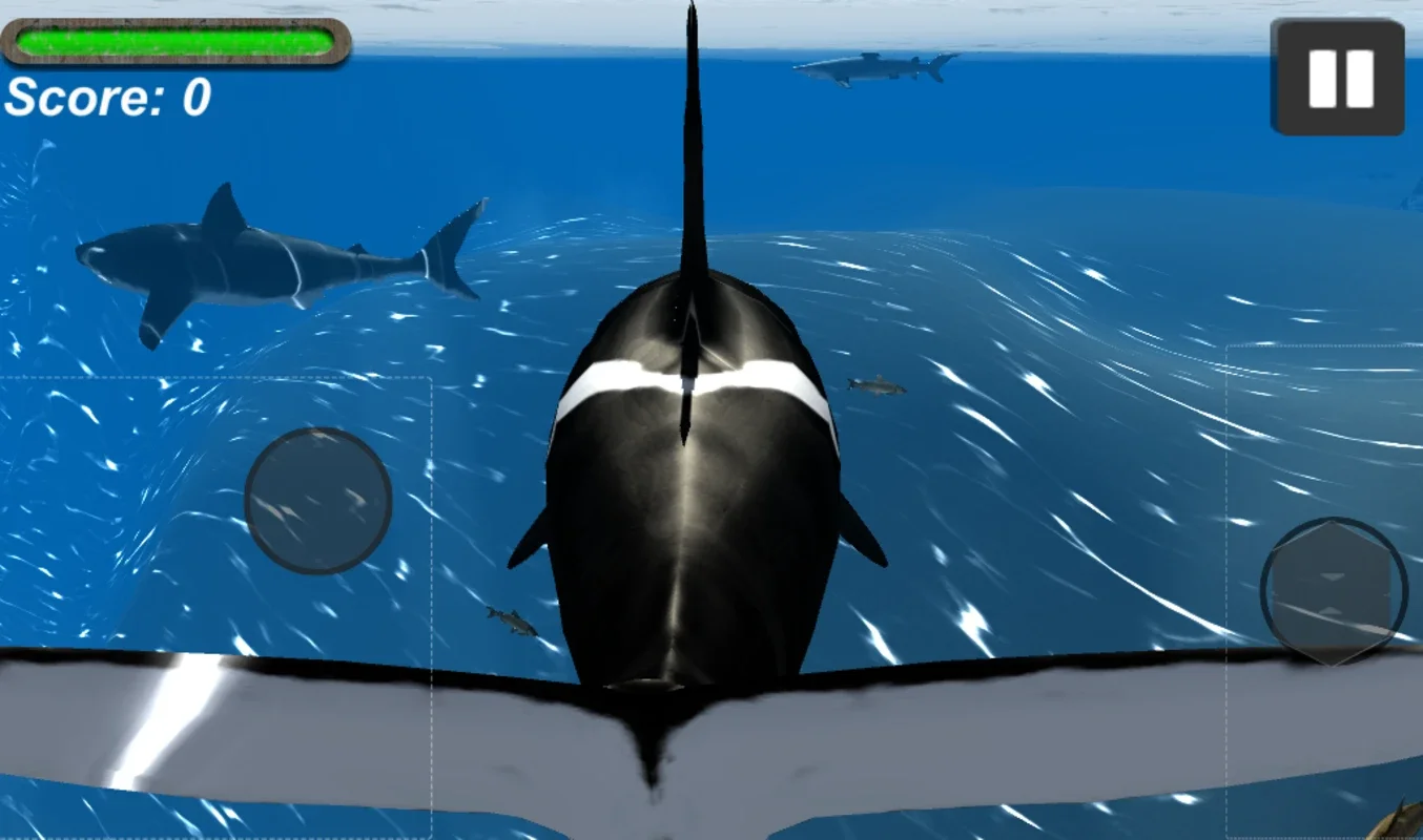 Orca Simulator for Android: Immersive Underwater Adventure