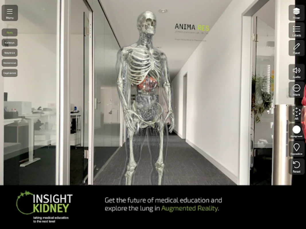 Insight Kidney for Android: Explore Kidney Anatomy with AR