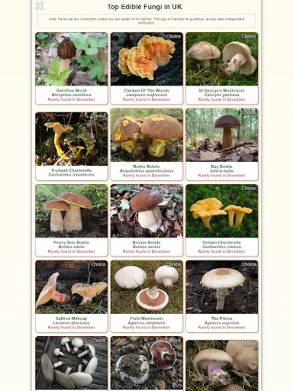 Shroomify - Mushroom Identific for Android: Simplify Mushroom ID