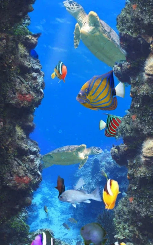 Aquarium for Android: A Relaxing Experience