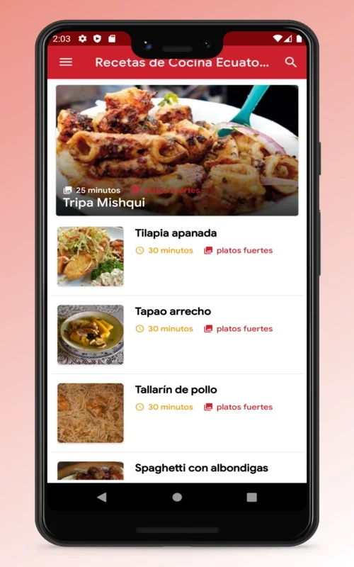 Ecuadorian Recipes - Food App for Android: Diverse Cuisine