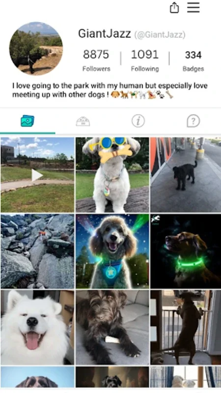 DogPack - Explore with the dog for Android - No Downloading Needed